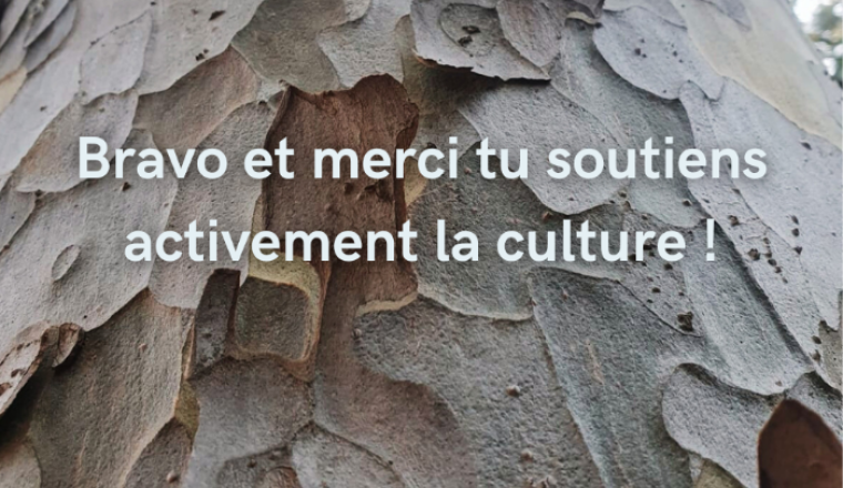 Image justificative de la cagnotte