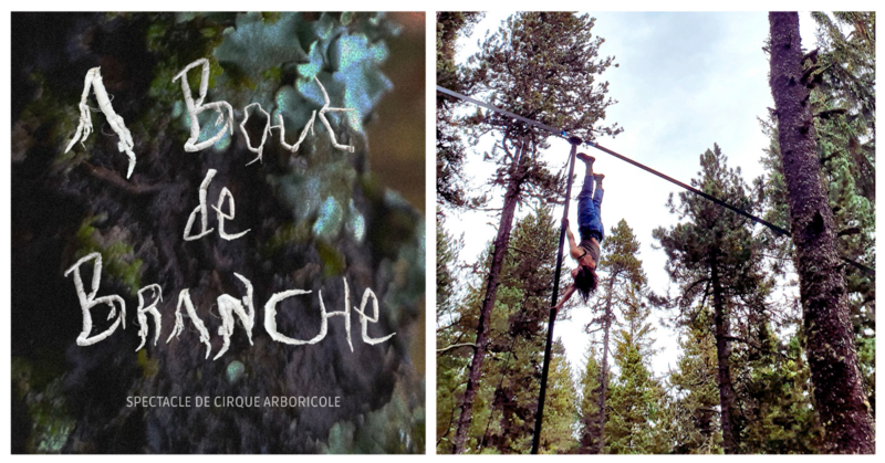 1er spectacle de cirque A bout de branche