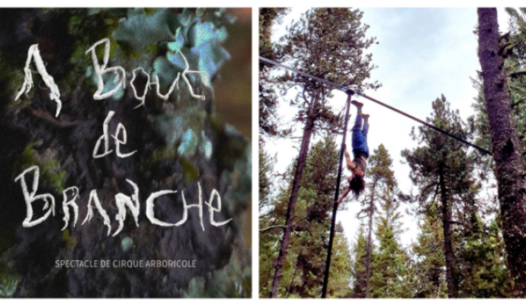 1er spectacle de cirque A bout de branche