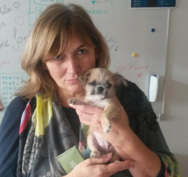 🌼 « Fleurir la mémoire de Sophie »