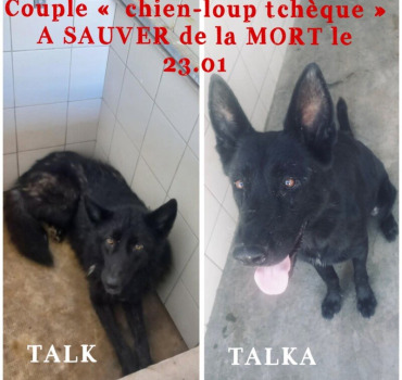 UN COUPLE EN EUTHANASIE