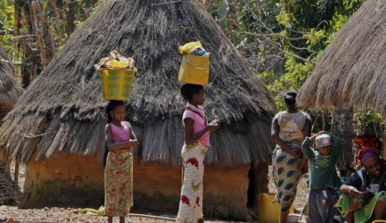 Forage en Afrique