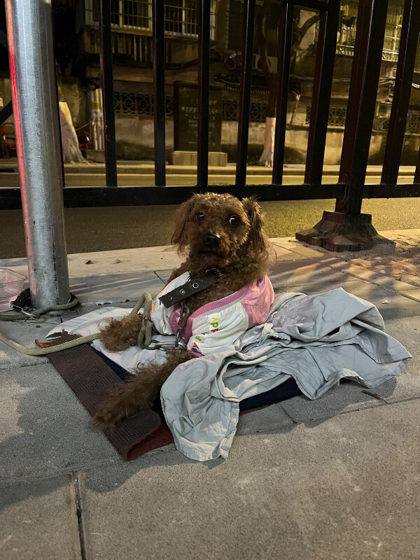 Fundraising proof image