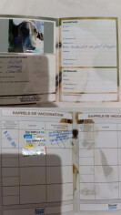 Image justificative de la cagnotte