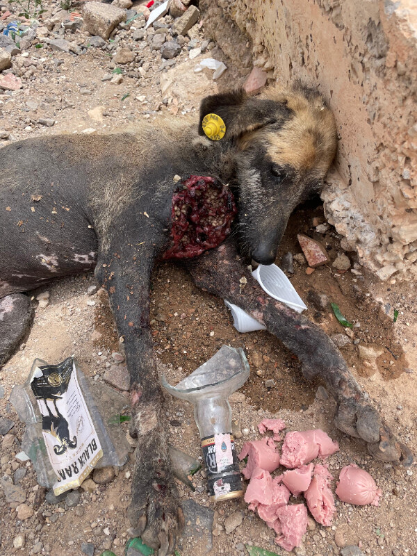 Image justificative de la cagnotte