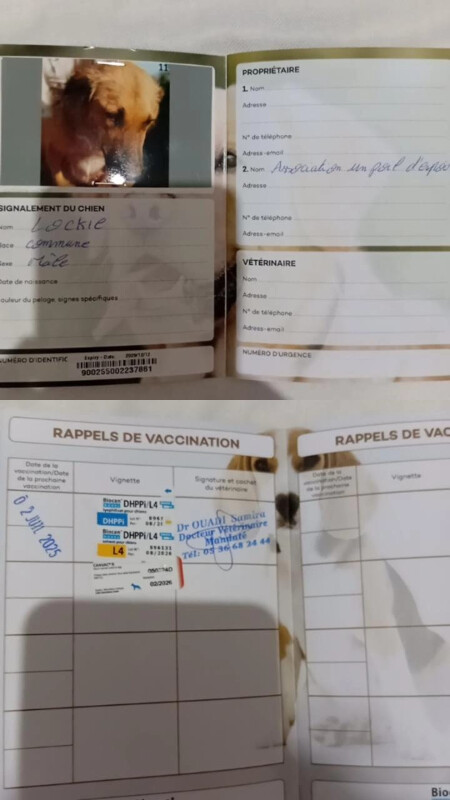 Image justificative de la cagnotte