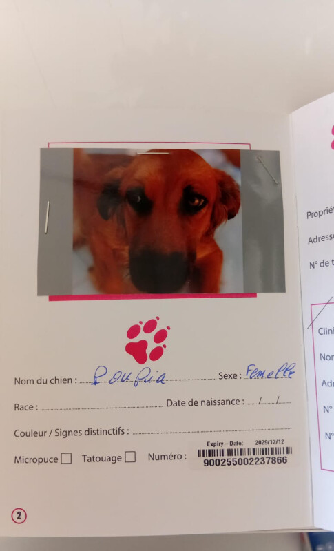 Image justificative de la cagnotte