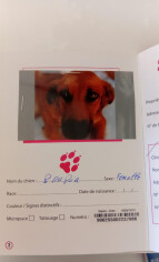 Image justificative de la cagnotte