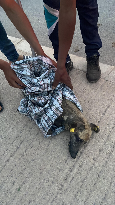 Image justificative de la cagnotte