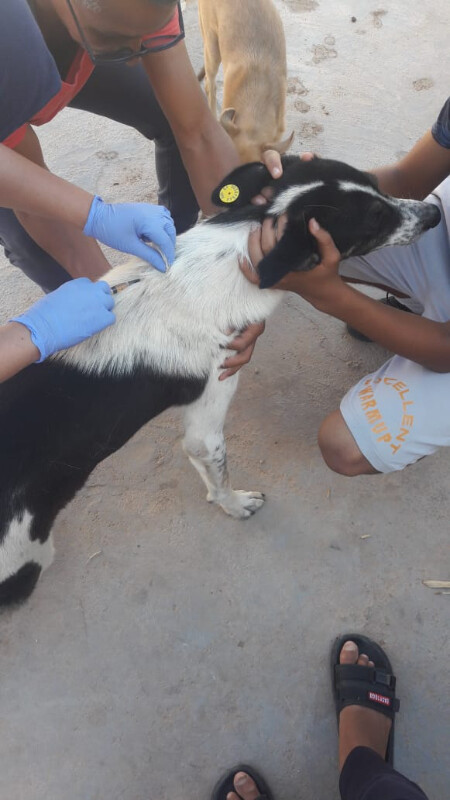 Image justificative de la cagnotte