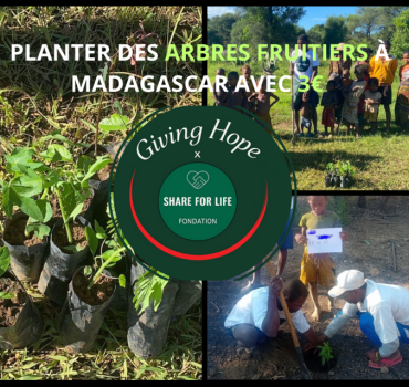 Planter des arbres fruitiers à Madagascar pour 3€