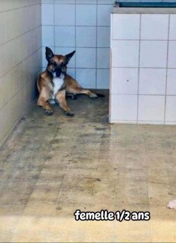 Image justificative de la cagnotte