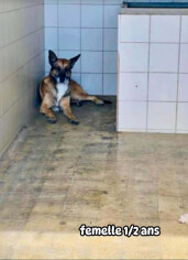 Image justificative de la cagnotte
