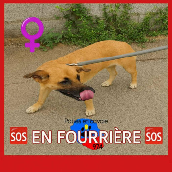 Image justificative de la cagnotte