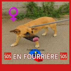 Image justificative de la cagnotte