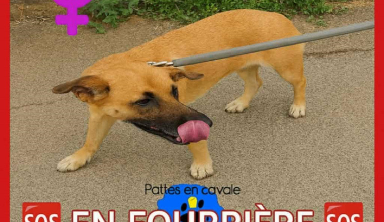 Image justificative de la cagnotte