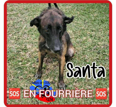 Image justificative de la cagnotte