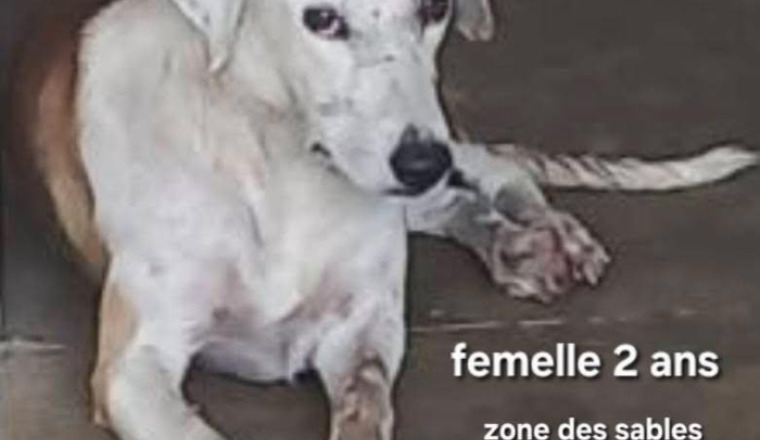 Image justificative de la cagnotte