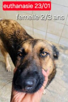 Image justificative de la cagnotte