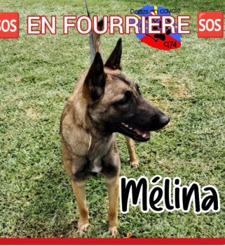Image justificative de la cagnotte