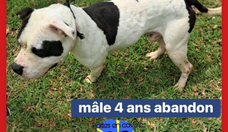 Image justificative de la cagnotte