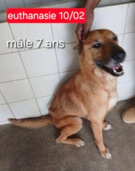 Image justificative de la cagnotte