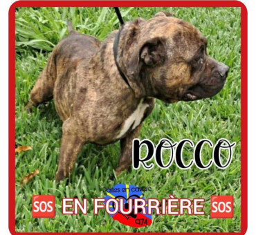 Image justificative de la cagnotte