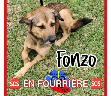 Image justificative de la cagnotte