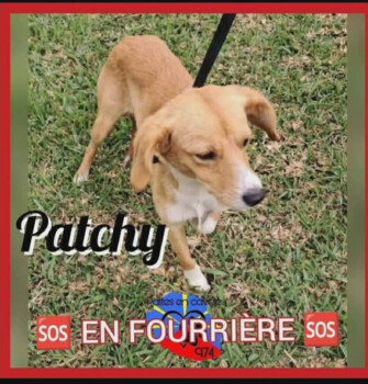 Image justificative de la cagnotte