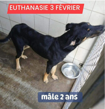 Image justificative de la cagnotte