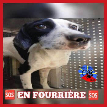 Image justificative de la cagnotte