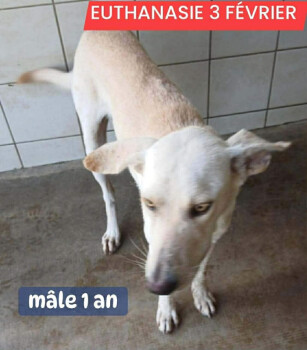 Image justificative de la cagnotte