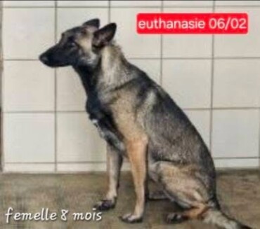 Image justificative de la cagnotte