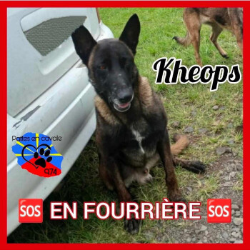 Image justificative de la cagnotte