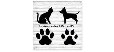 Sortez-nous de fourrière SVP!