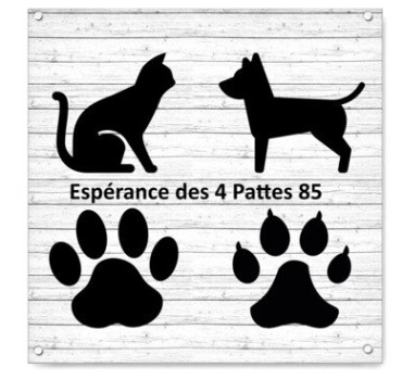 Sortez-nous de fourrière SVP!