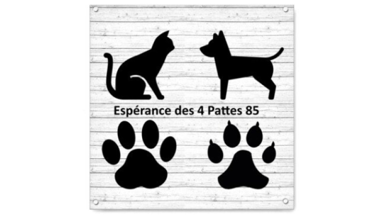 Sortez-nous de fourrière SVP!