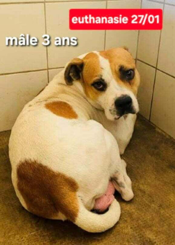 Image justificative de la cagnotte