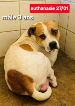 Image justificative de la cagnotte