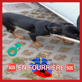 Image justificative de la cagnotte