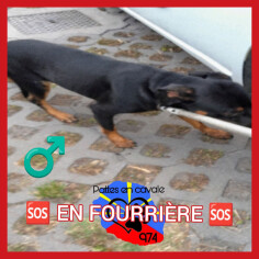 Image justificative de la cagnotte