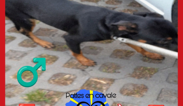 Image justificative de la cagnotte