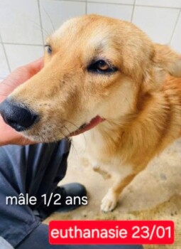 Image justificative de la cagnotte