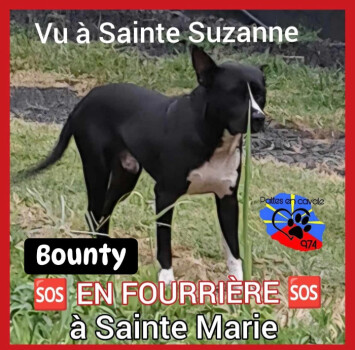 Image justificative de la cagnotte