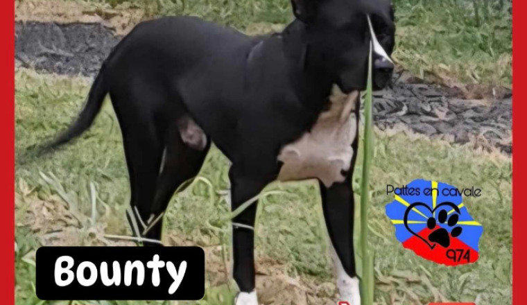 Image justificative de la cagnotte