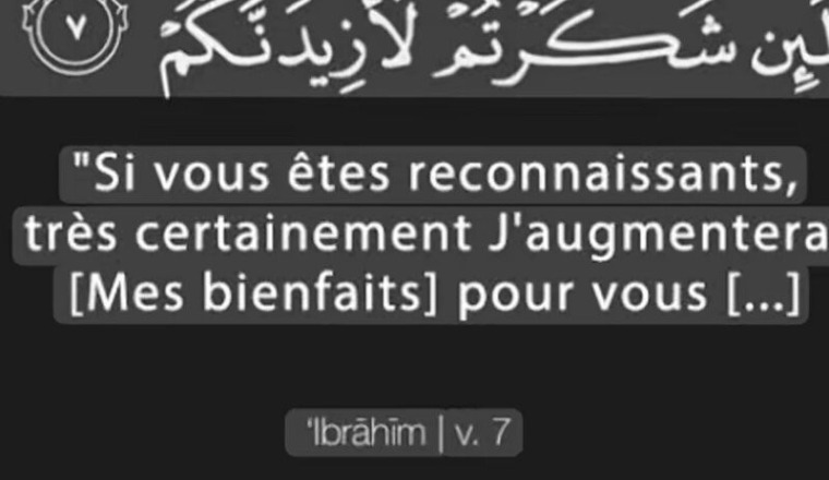 Urgence logement : aidons-la à éviter l’expulsion