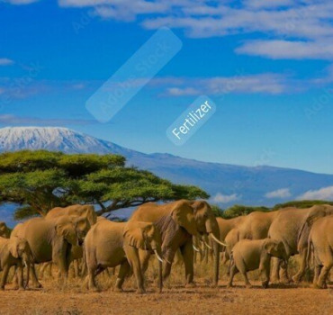 Sadaka Kenya Ramadan 2026