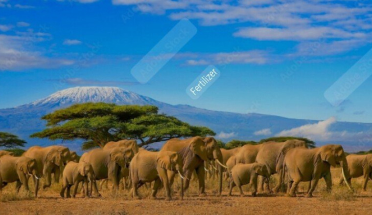 Sadaka Kenya Ramadan 2026