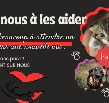🚨🆘Aidez nous à les AIDER 🆘🚨