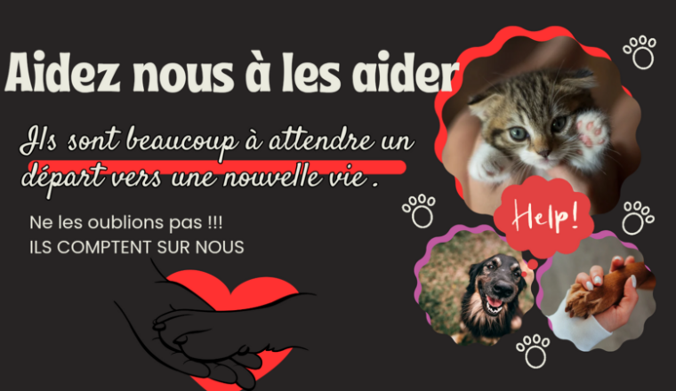 🚨🆘Aidez nous à les AIDER 🆘🚨